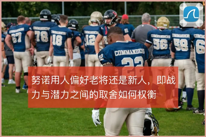 努诺用人偏好老将还是新人，即战力与潜力之间的取舍如何权衡