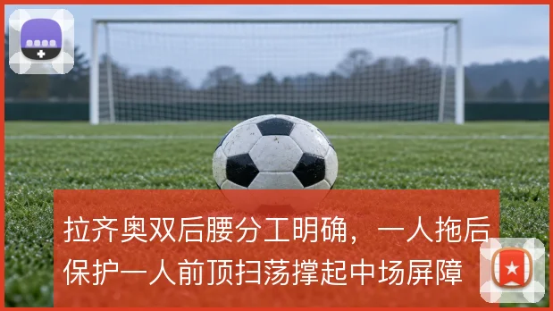 拉齐奥双后腰分工明确,一人拖后保护一人前顶扫荡撑起中场屏障