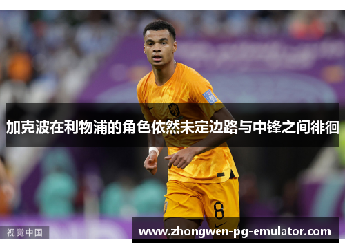 加克波在利物浦的角色依然未定边路与中锋之间徘徊