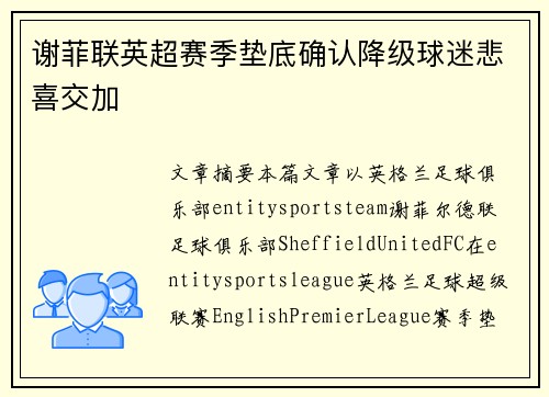 谢菲联英超赛季垫底确认降级球迷悲喜交加